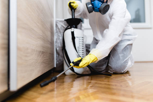 Pest Prevention Services in Murphy, TX