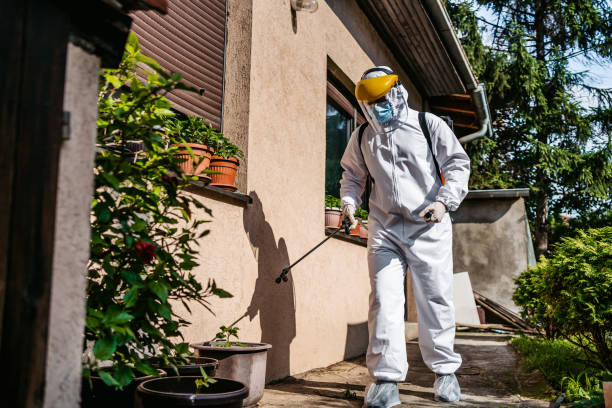 Professional Pest Control in Murphy, TX