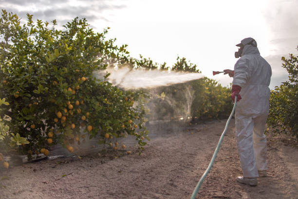 Best Best Pest Control Companies  in Murphy, TX
