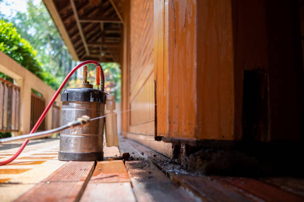 Pest Control for Restaurants in Murphy, TX