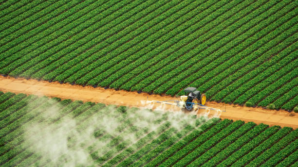 Best Mosquito Control Services  in Murphy, TX